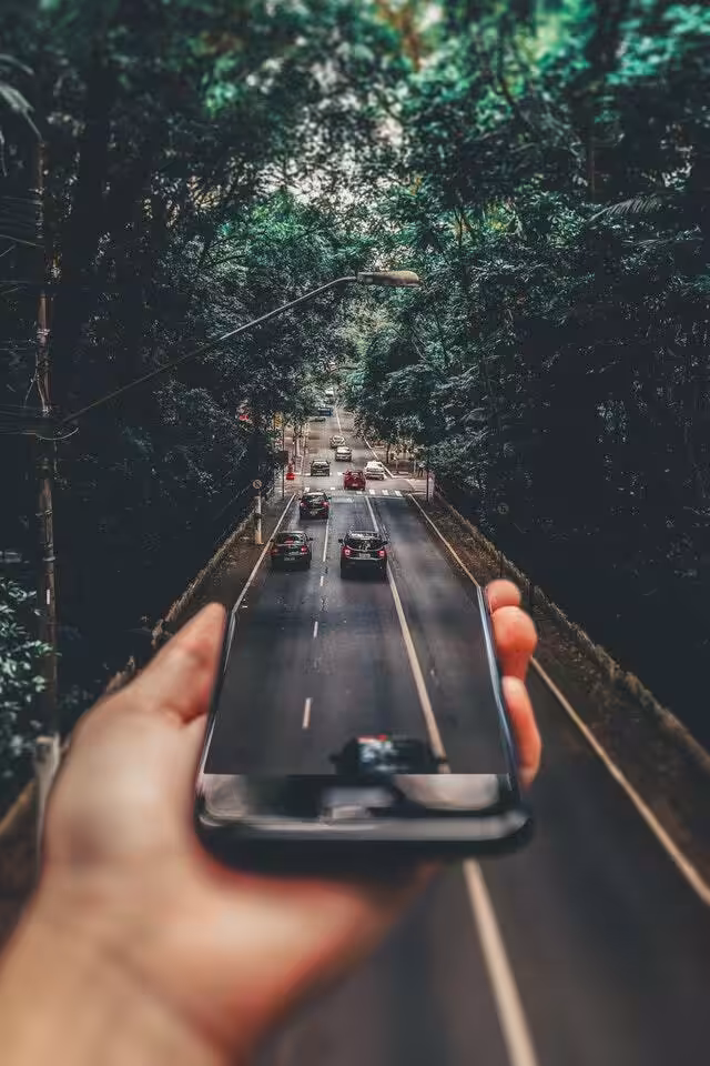 pexels matheus bertelli 799443